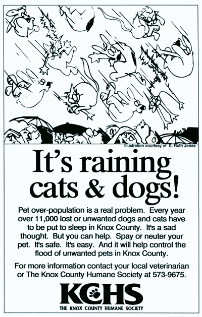 Raining Cats & Dogs