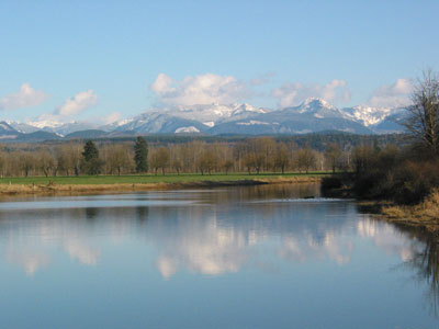 Carnation Valley