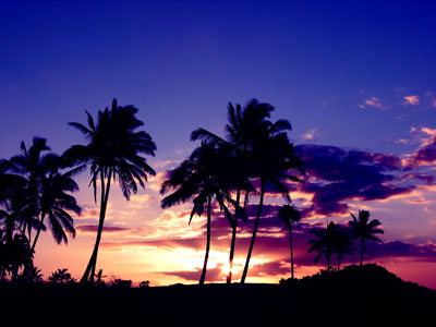 South Beach Hawaii