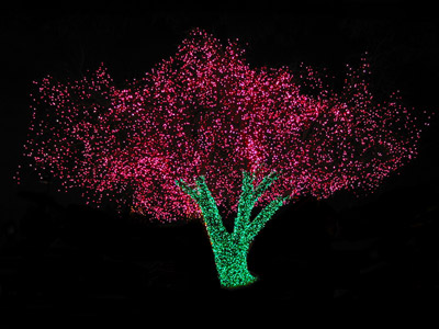 Tree lights